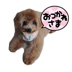 sakupyon_20230705225112
