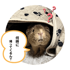 yuka_20230706001346