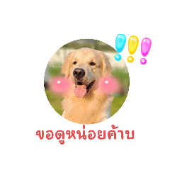 Hana_20230706001120
