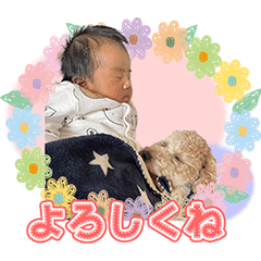 YUZUTEACOLAB
