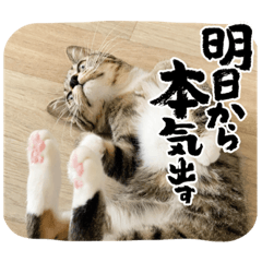 kana_20230705193108