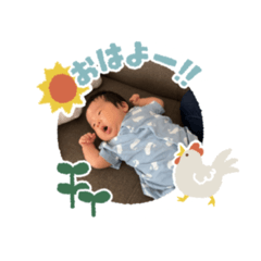 Hikari_20230705193842