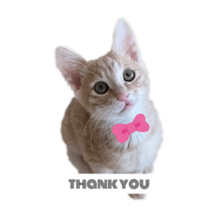 chisa_20230706021411