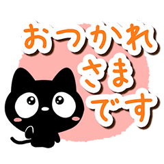 Very cute black cat101