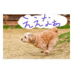39_20230706111251