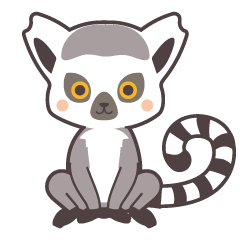 Healing everyday Lemur catta