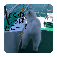 fuwafuwajun_20230706122354