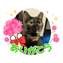 YUKA_20230706153529