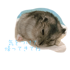 y_20230706162214