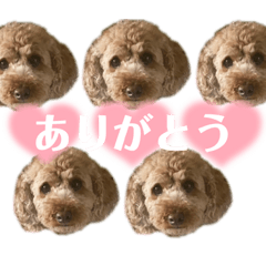 aono_20230706145525