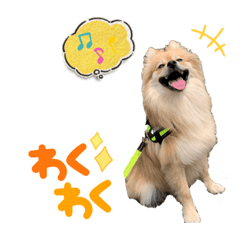 nozomi_20230706213024