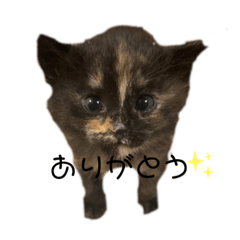 chisa_20230706223031