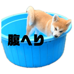 yuka_20230706235349