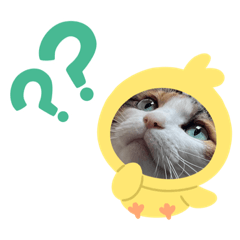 OMO_20230706230426