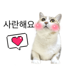 arisa_20230706204718