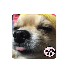 moo_20230707133633