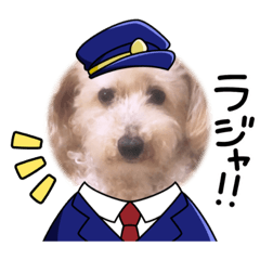 pokkechan_0331
