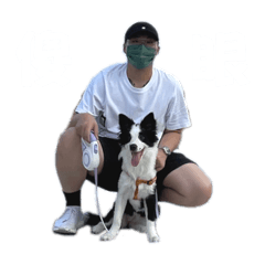 大家好，我是王大帥哥