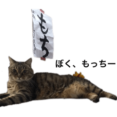 nozomi_20230708075813