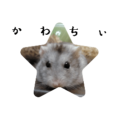 sunny_20230707205041