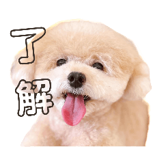 Coupy611