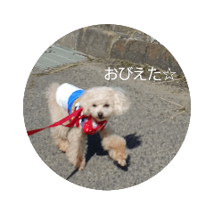 sebe_20230707223518