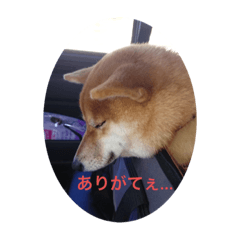 MSK_20230707231433