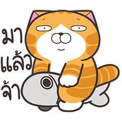【泰文版】Lan Lan Cat: Don't Be Impulsive