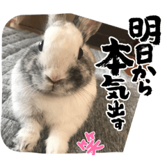 yokko_20230708103909