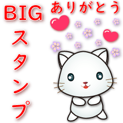 JP-practical big font-cute white cat