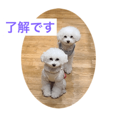 hana_20230708154111