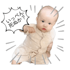 sakura_20230708164723