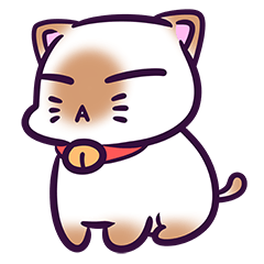 kaoJee Siamese cat