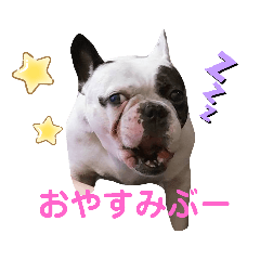 hana_20230708152807