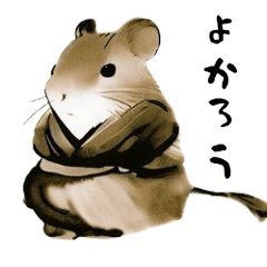 Samurai djungarian hamsters