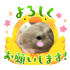 SMILE_20230708183801