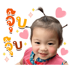 Pmy family