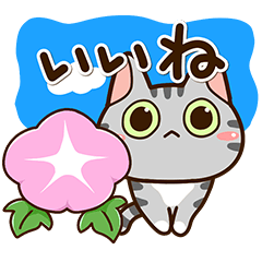 Sticker of American shorthair Cat.5