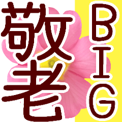 BIG!Flower28 keirou
