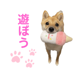 Yuka_20230708174221
