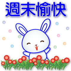 cute little white rabbit-Common Phrases