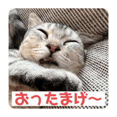 nozomi_20230709101943