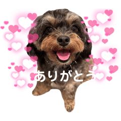 Kana_20230709112601