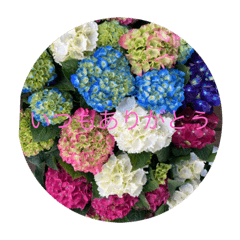 Aozora_20230708191034