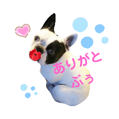 hana_20230709140313