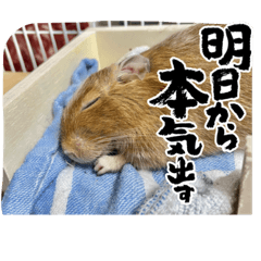 aoi_20230709144828
