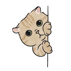oba cat4 - ginger cat2 sticker