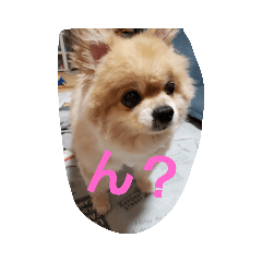 moo_20230709173410