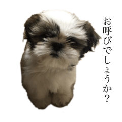 もこ〜パート2〜