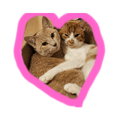 yukari_20230710002540